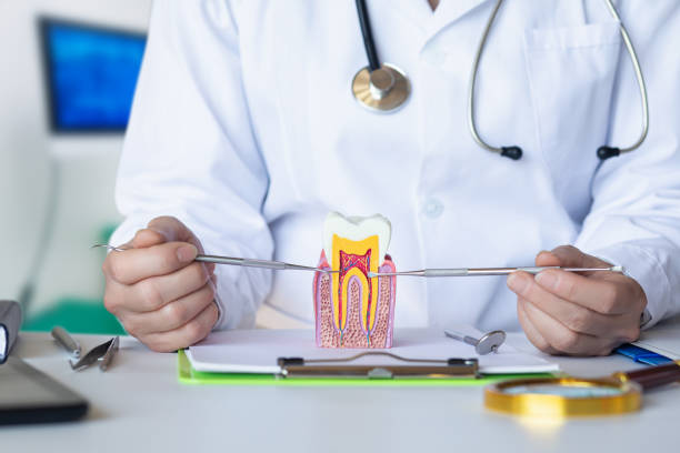 Best Emergency Dentist for Lost Fillings or Crowns in Highland, CA